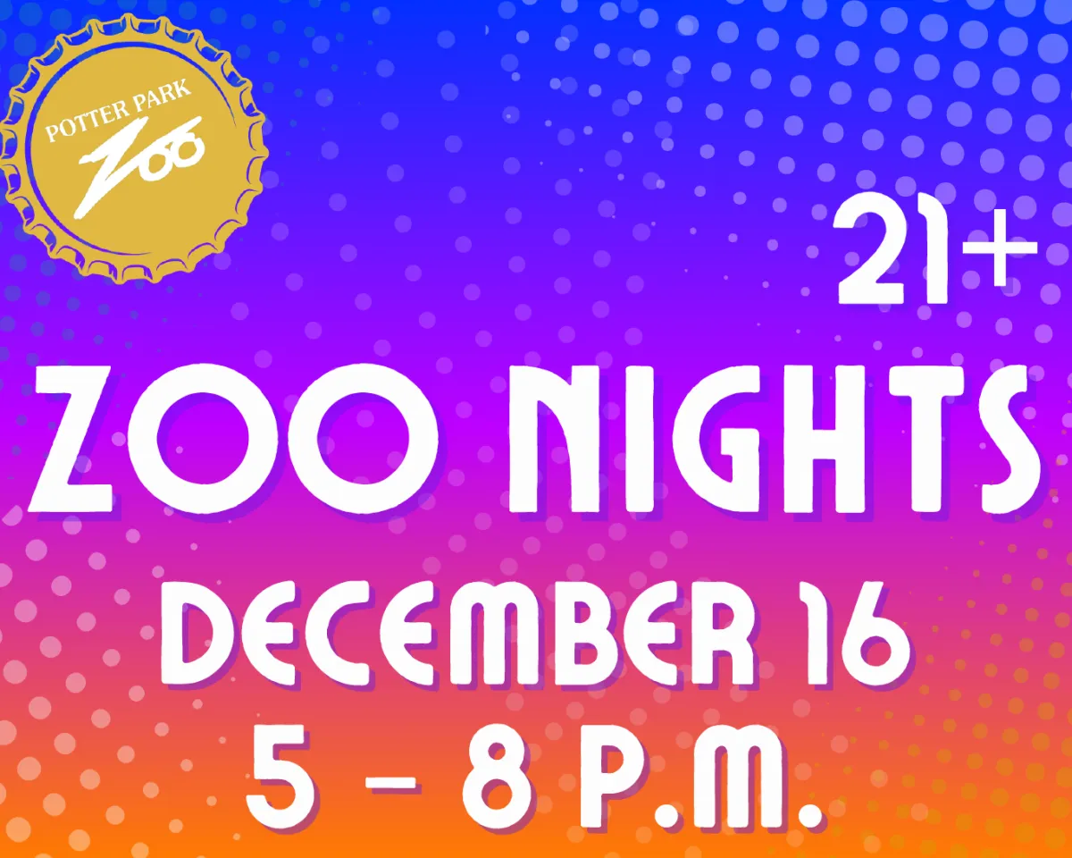 Zoo Nights, With Lights!