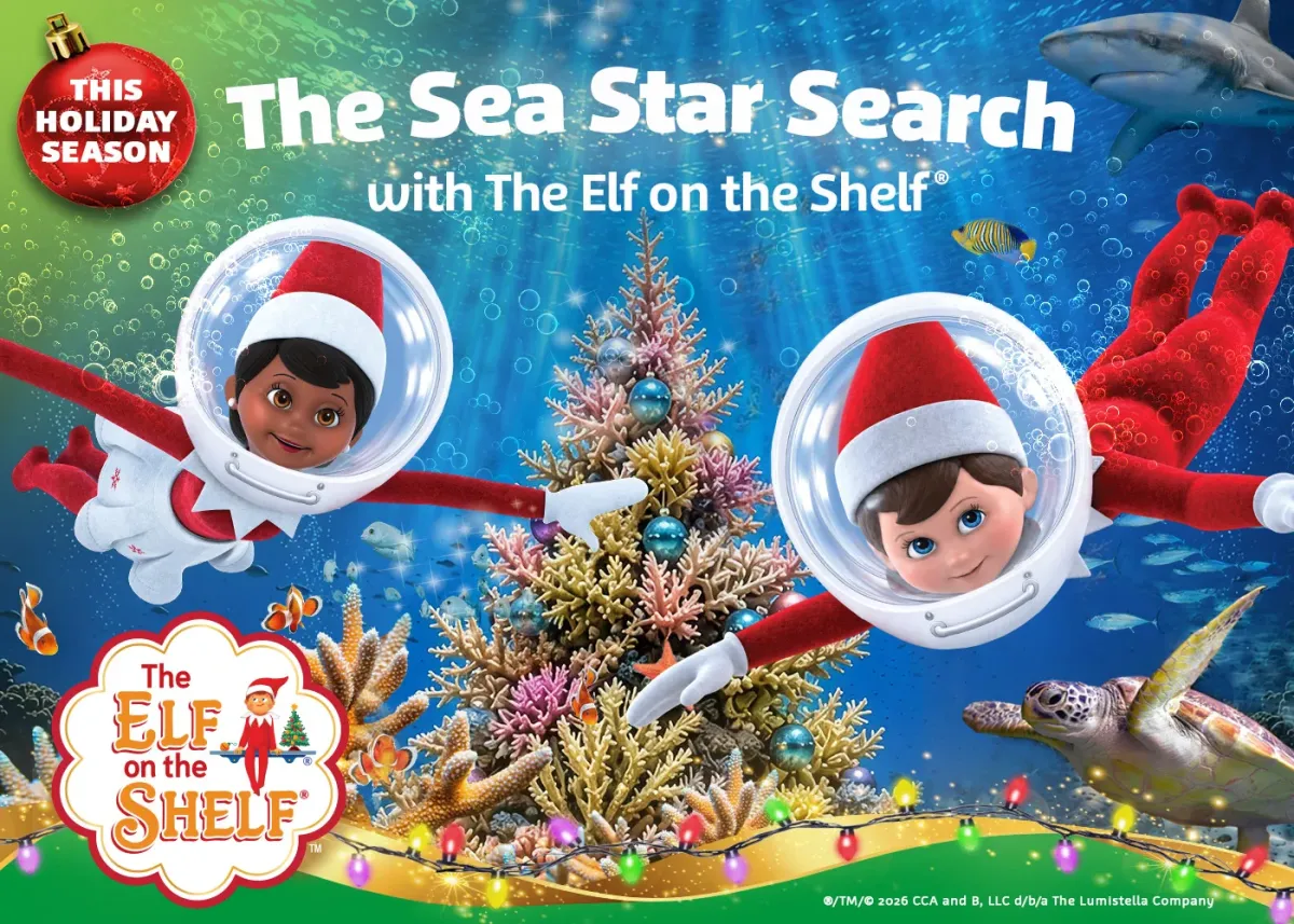 The Sea Star Search with The Elf on the Shelf ⭐🎄